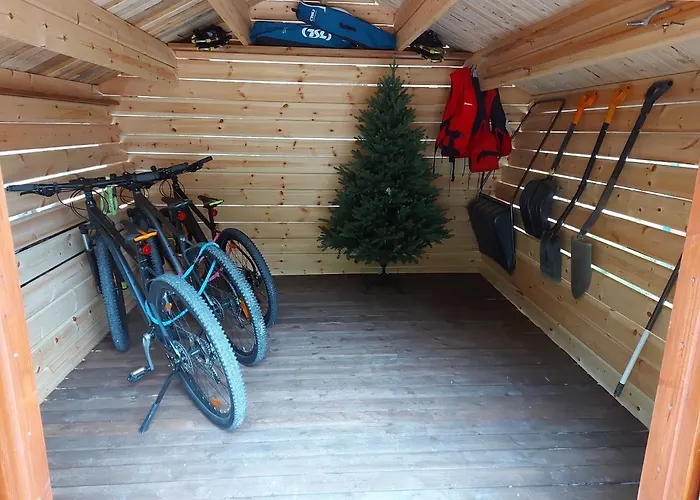 Aalto Koli