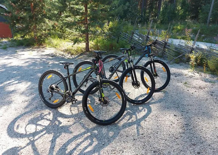 Aalto Koli