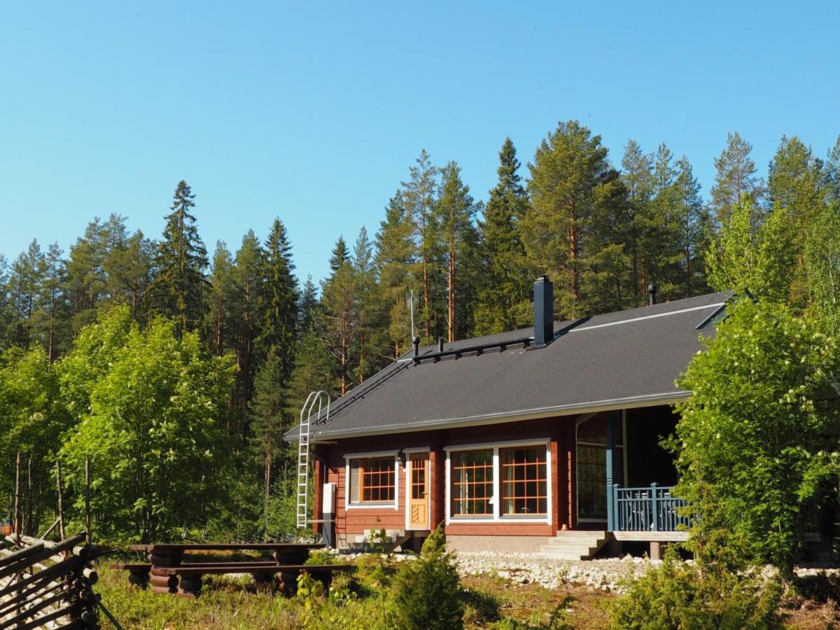 Aalto Koli